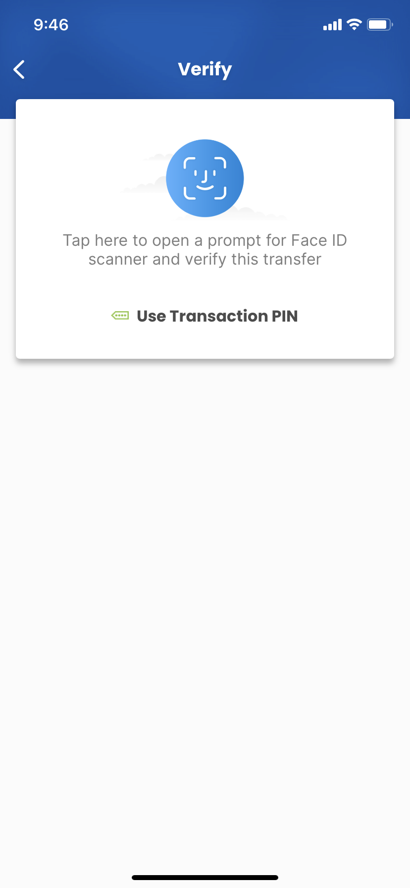 Confirm Transaction - Image